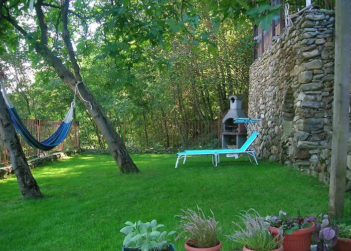 B&B Al Carotin